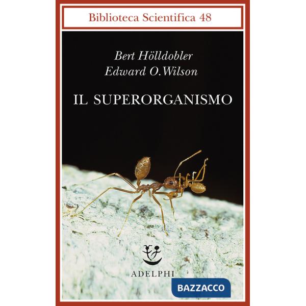 Superorganismo (Il)