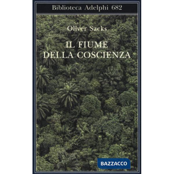 Fiume della coscienza (Il)
