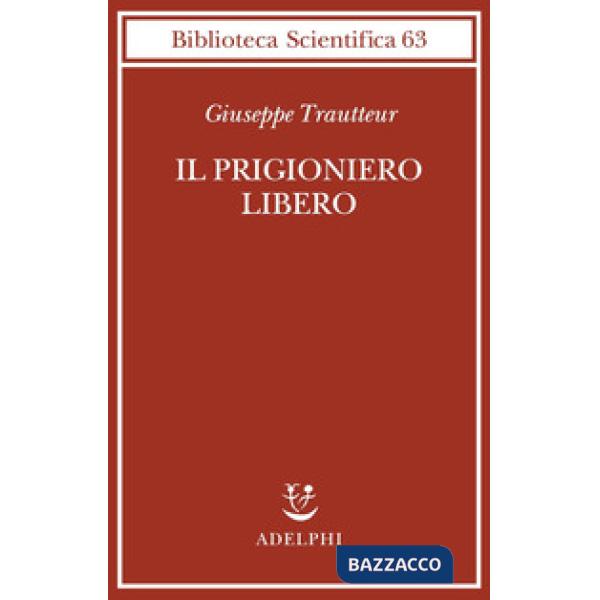 Prigioniero libero (Il)