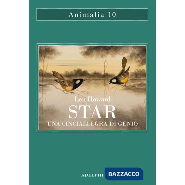 Star. Una cinciallegra di genio