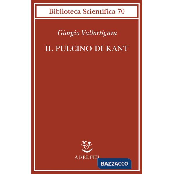 Pulcino di Kant (Il)