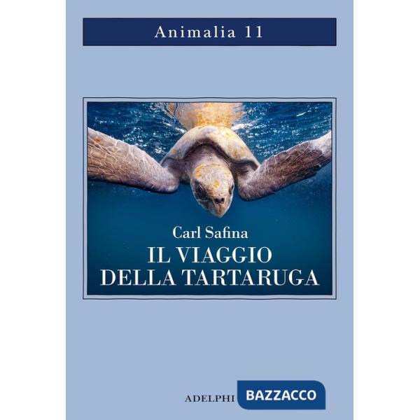 Viaggio della tartaruga. Alla ricerca dell'ultimo dinosauro (Il)