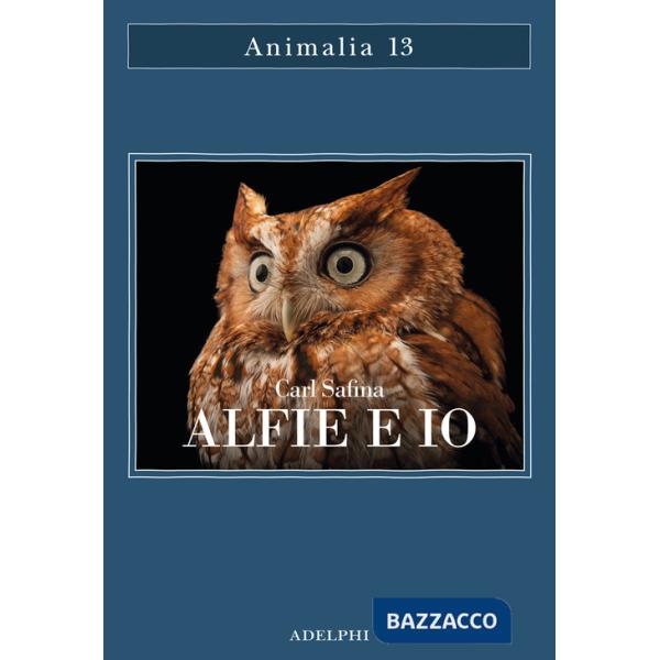 Alfie e io. Quello che i rapaci sanno, quello che gli umani credono