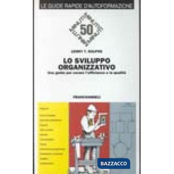 Sviluppo organizzativo. Una guida per curare l'efficienza e la qualità (Lo)