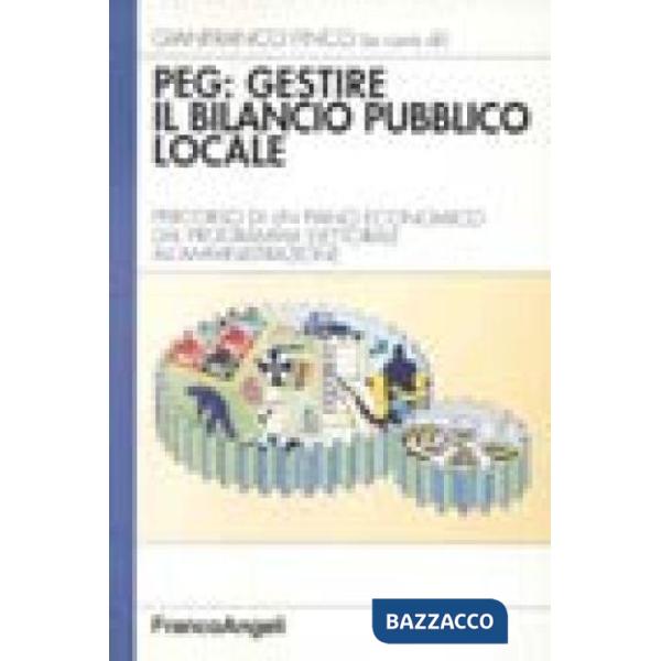 PEG: gestire il bilancio pubblico locale. Percorso di un piano economico dal pro