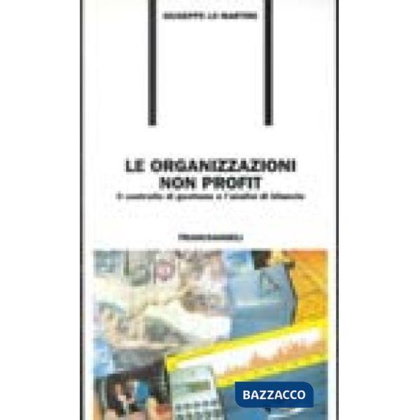 Organizzazioni non profit. Il controllo di gestione e l'analisi di bilancio (Le)