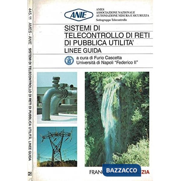 Sistemi di telecontrollo di reti di pubblica utilità. Linee guida