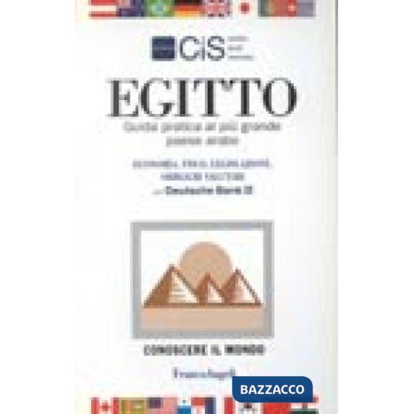 Egitto. Guida pratica al più grande paese arabo. Economia, fisco, legislazione, 