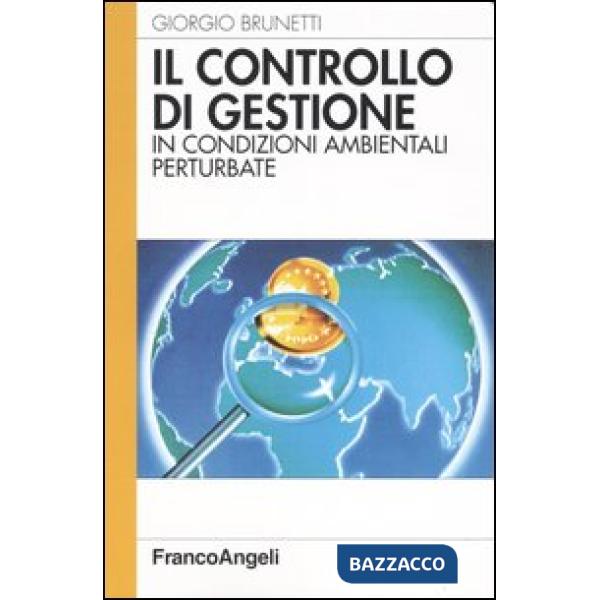 Controllo di gestione in condizioni ambientali perturbate (Il)