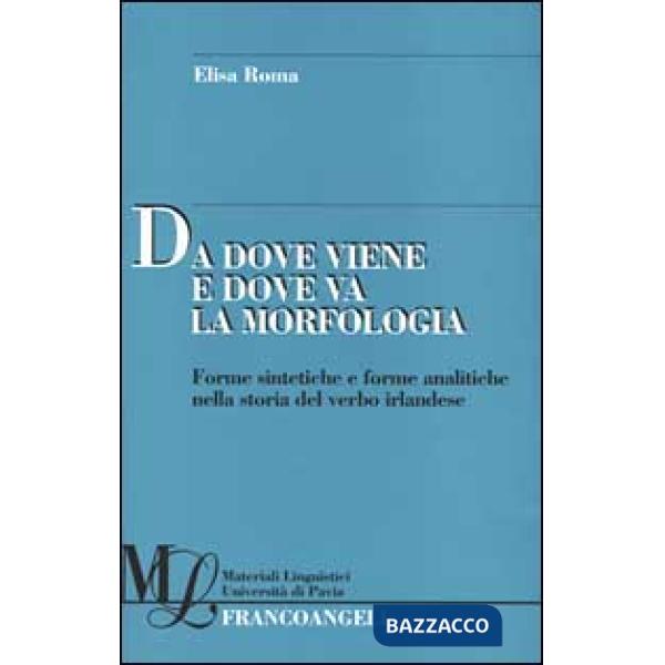Da dove viene e dove va la morfologia. Forme sintetiche e forme analitiche nella storia del verbo irlandese