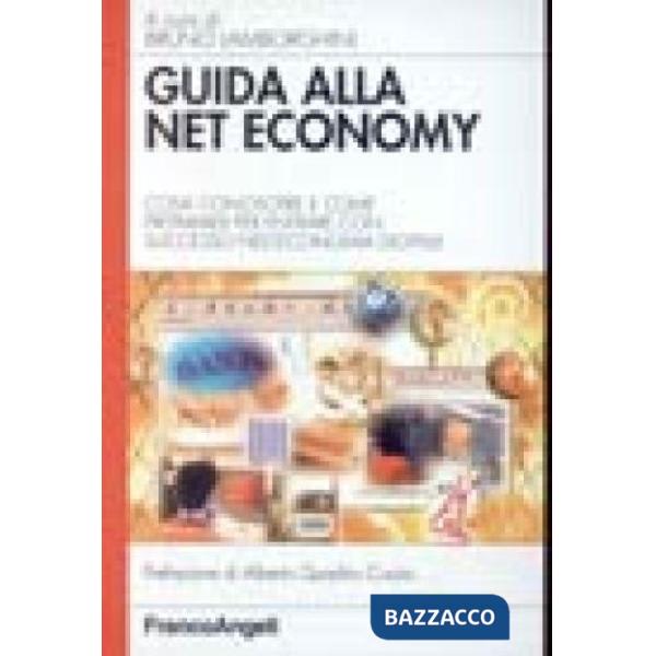 Guida alla Net Economy. Cosa conoscere e come prepararsi per entrare con success