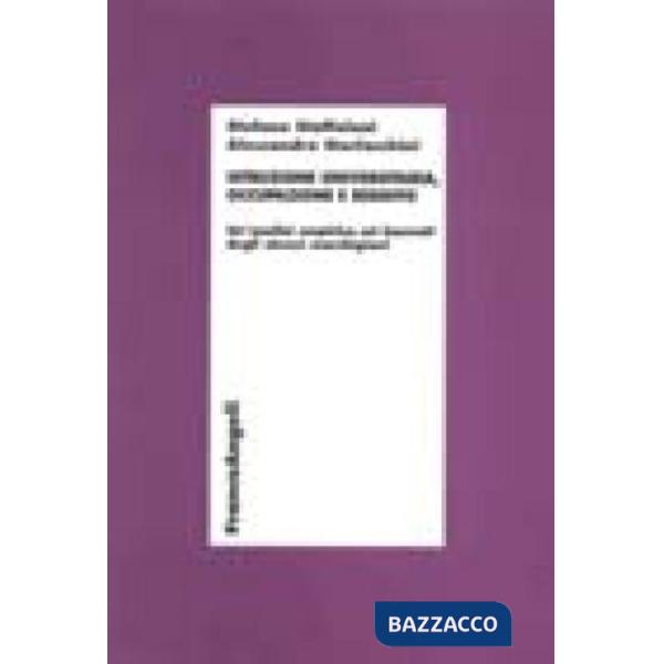 Istruzione universitaria occupazione e reddito. Un'analisi empirica sui laureati