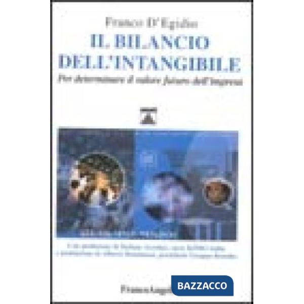 Bilancio dell'intangibile. Per determinare il valore futuro dell'impresa (Il)