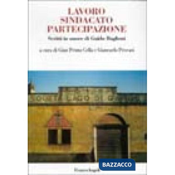 Lavoro sindacato partecipazione. Scritti in onore di Guido Baglioni
