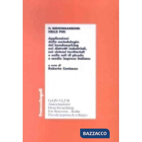 Benchmarking nelle pmi. Applicazioni della metodologia del benchmarking nei dist