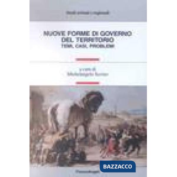 Nuove forme di governo del territorio. Temi, casi, problemi