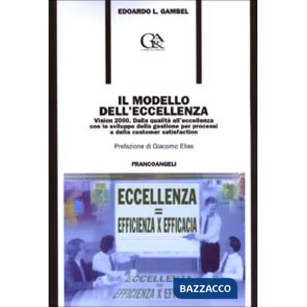 Modello dell'eccellenza. Vision 2000. Dalla qualità all'eccellenza con lo svilup