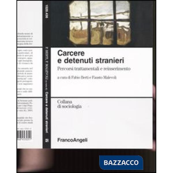 Carcere e detenuti stranieri. Percorsi trattamentali e reinserimento