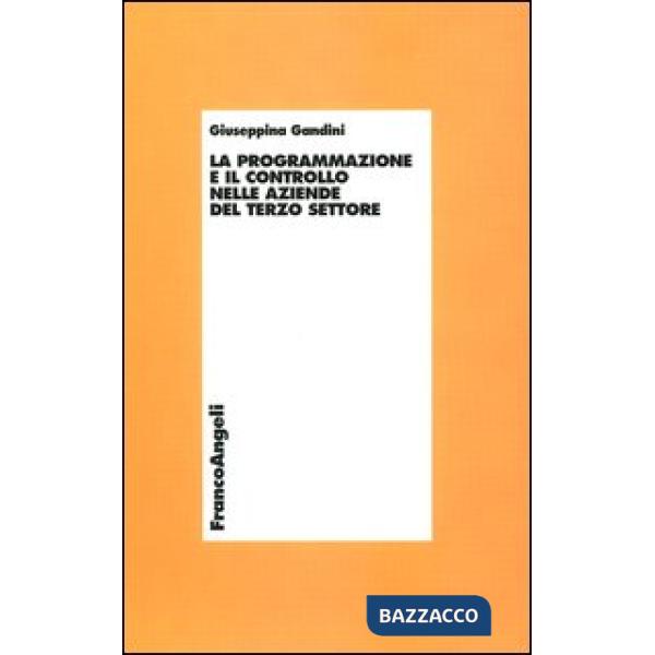 Programmazione e il controllo nelle aziende del terzo settore (La)