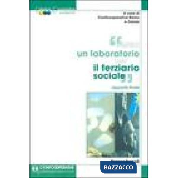 Verso un laboratorio per il terziario sociale. Rapporto finale