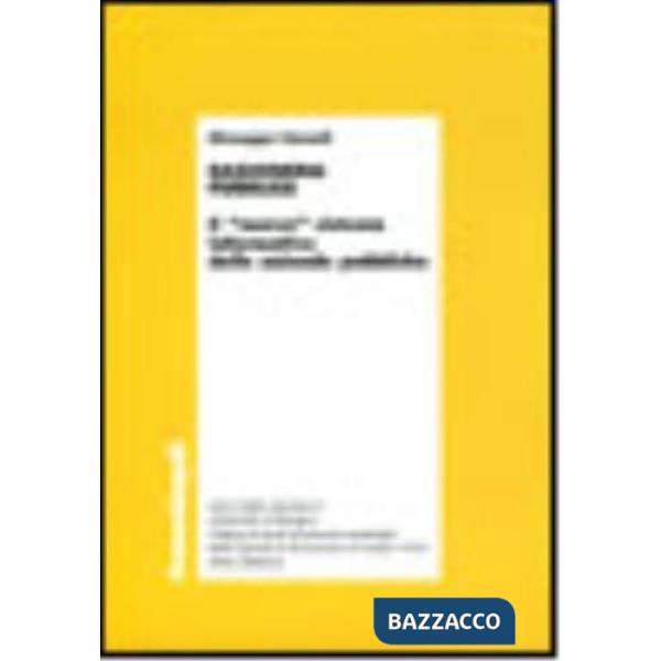 Ragioneria pubblica. Il "nuovo" sistema informativo delle aziende pubbliche