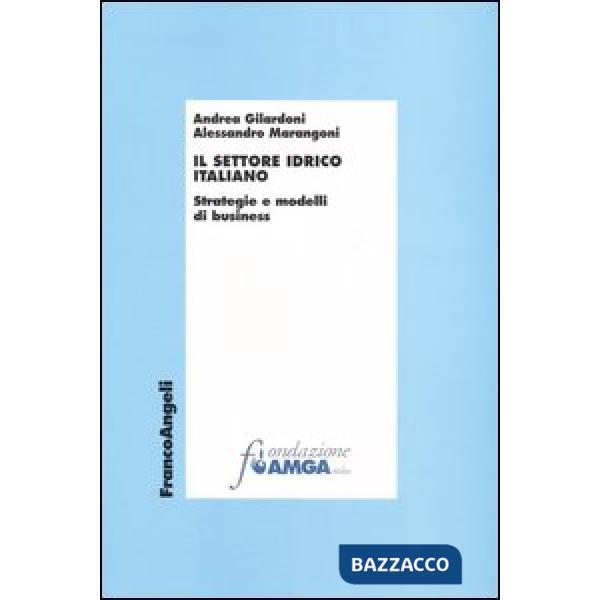 Settore idrico italiano. Strategie e modelli di business (Il)