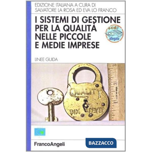 Sistemi di gestione per la qualità nelle piccole e medie imprese. Linee guida. C