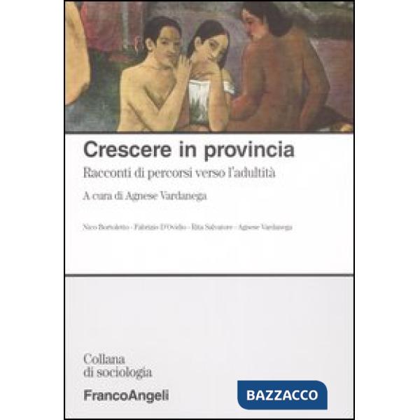 Crescere in provincia. Racconti di percorsi verso l'adultità