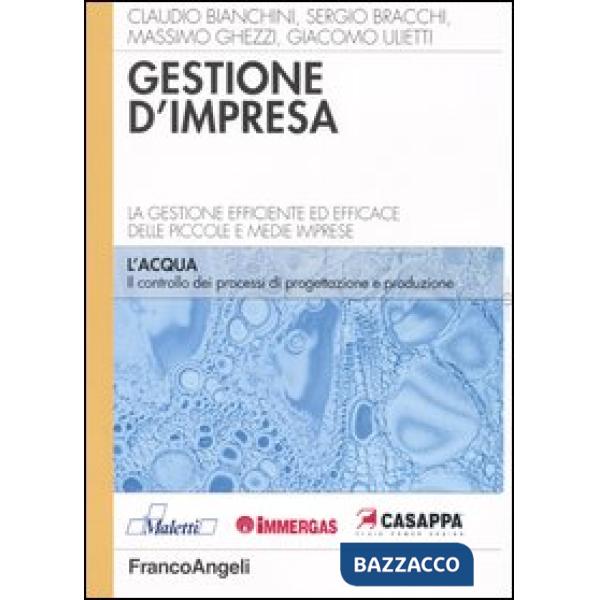 Gestione d'impresa. La gestione efficiente ed efficace delle piccole e medie imp