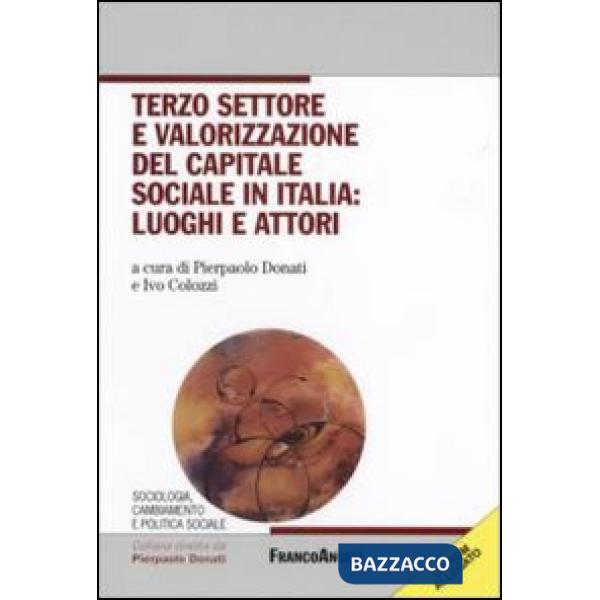 Terzo settore e valorizzazione del capitale sociale in italia: luoghi e attori. Con CD-ROM