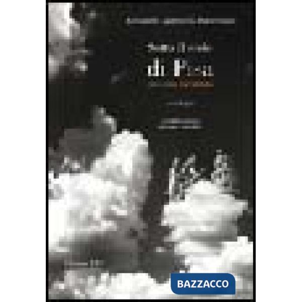 Sotto il cielo di Pisa. Una città raccontata