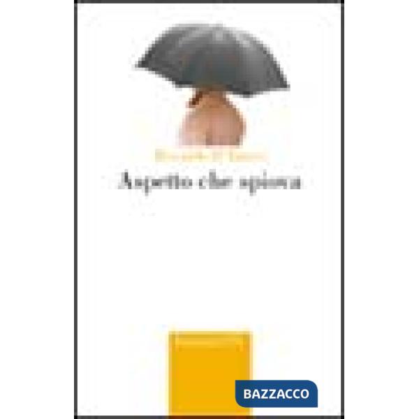 Aspetto che spiova