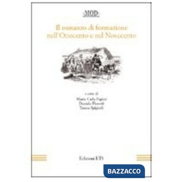 Romanzo di formazione nell'Ottocento e nel Novecento (Il)