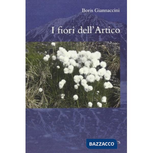 Fiori dell'Artico (I)