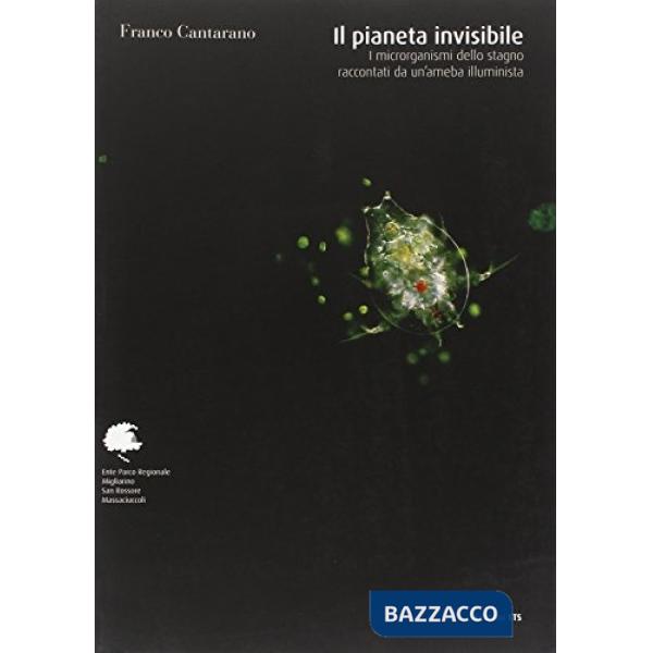 Pianeta invisibile. I microrganismi dello stagno raccontati da un'ameba illumini