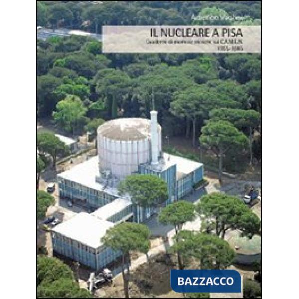 Nucleare a Pisa. Quaderno di memorie storiche sul CAMEN 1955-1985 (Il)