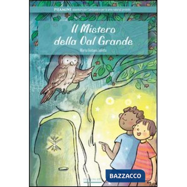 Mistero della Val Grande (Il)