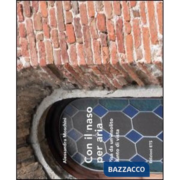 Con il naso per aria. Pisa da un insolito punto di vista