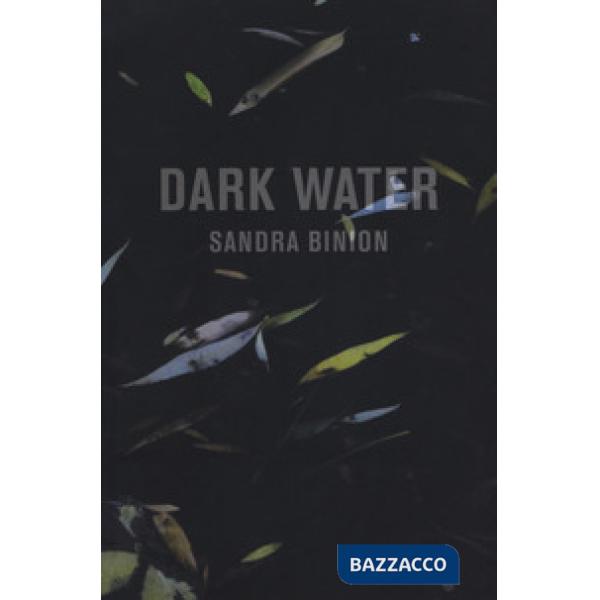 Dark water. Catalogo della mostra (Pisa, 18 marzo-20 maggio 2017). Ediz. italiana e inglese