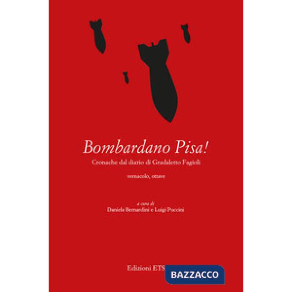Bombardano Pisa! Cronache dal diario di Gradaletto Fagi. Testo vernacolare