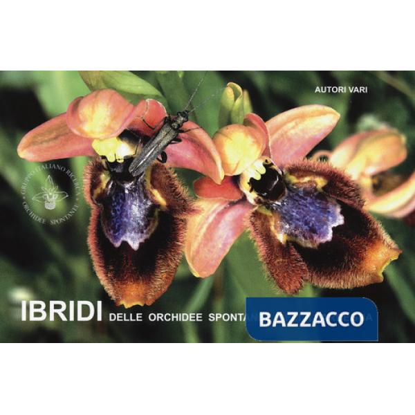 Ibridi delle orchidee spontanee della Sardegna