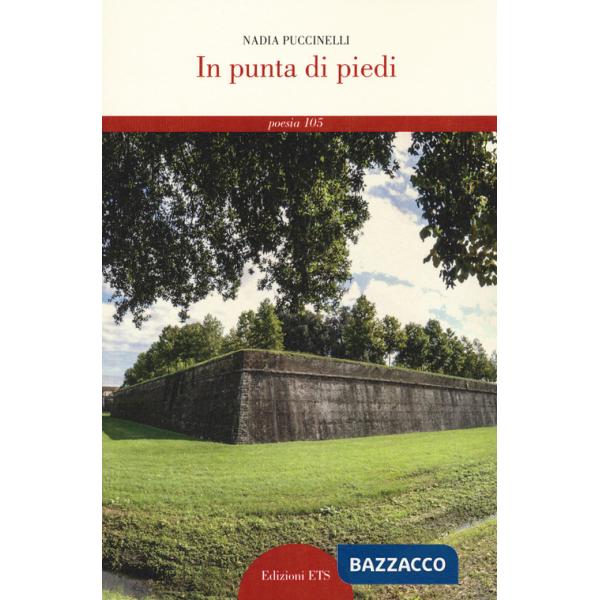 In punta di piedi