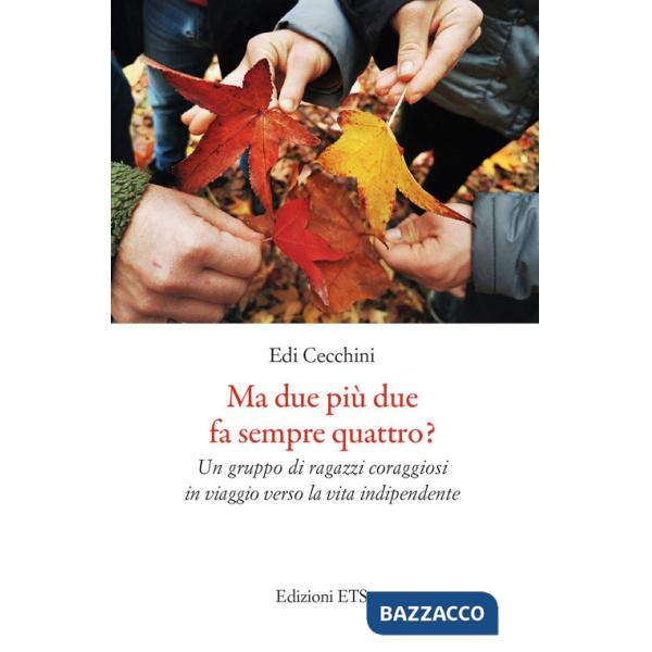 Ma due più due fa sempre quattro? Un gruppo di ragazzi coraggiosi in viaggio verso la vita indipendente