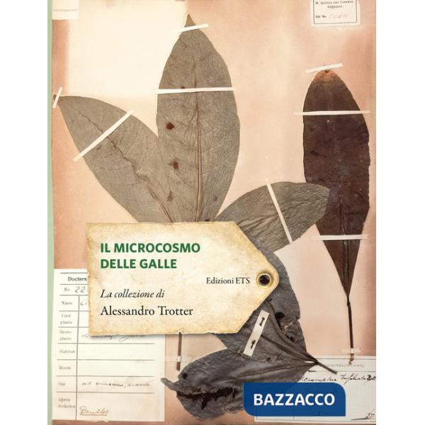 Microcosmo delle galle. La collezione di Alessandro Trotter (Il)