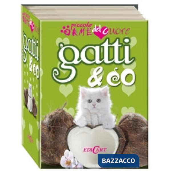 Gatti & co. Ediz. illustrata