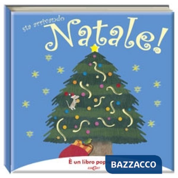 Sta arrivando Natale! Libro pop-up. Ediz. illustrata