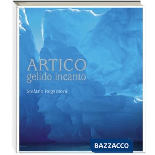 Artico gelido incanto. Ediz. illustrata