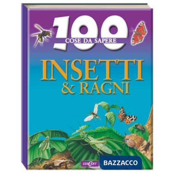 Insetti e ragni. Ediz. illustrata