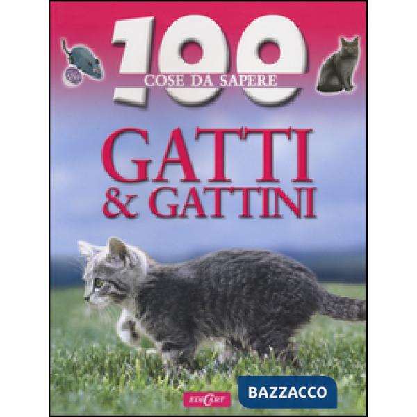 Gatti e gattini