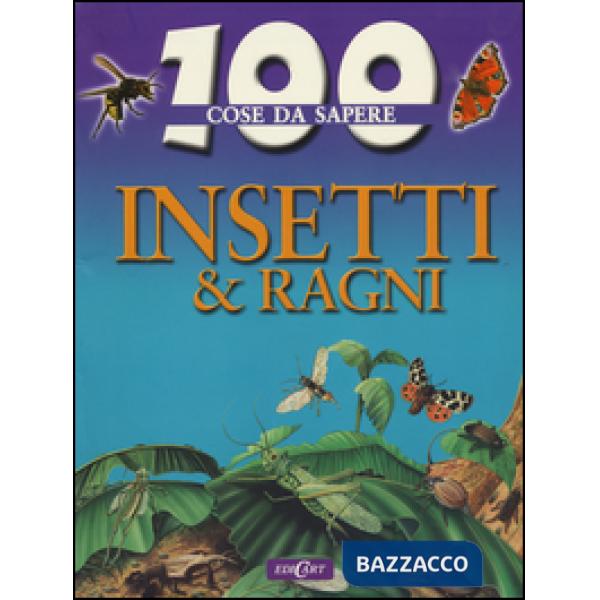 Insetti e ragni